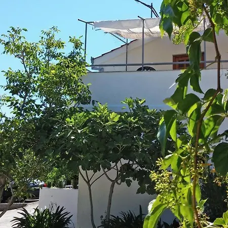Arbanija 4320b Apartament *